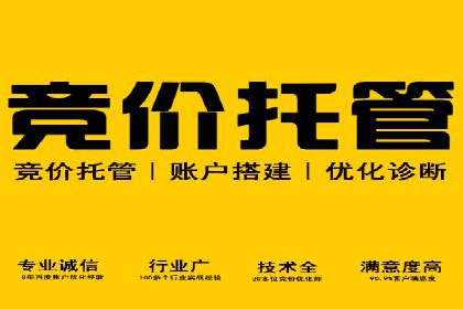 某企业通过SEM实现品牌与销售双增长的案例